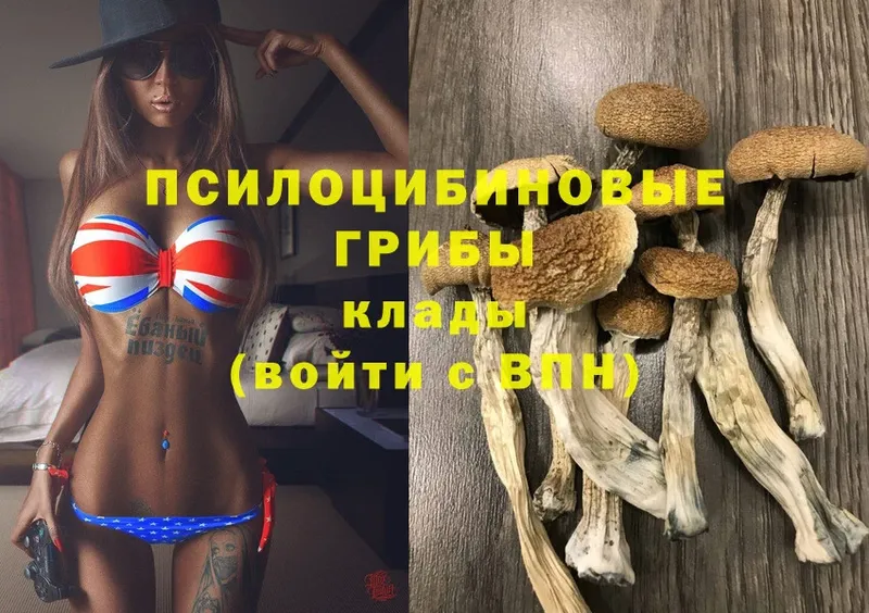 Псилоцибиновые грибы Magic Shrooms  МЕГА как зайти  Пермь  как найти  